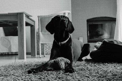 Foto des Tages