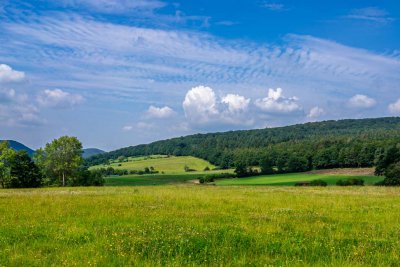 Hinterland