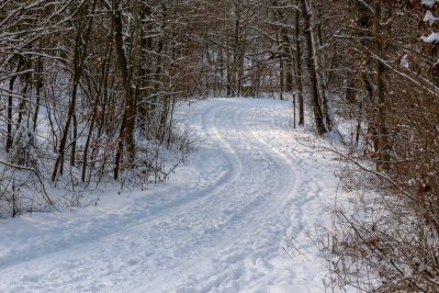 Schnee